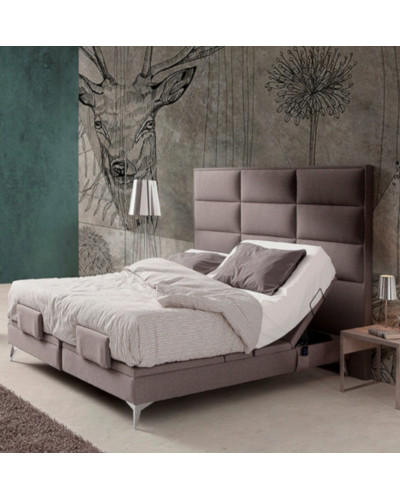 Dynam Adjustable Bed